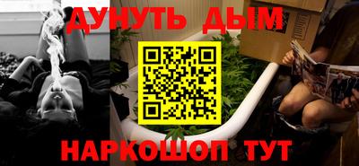 мяу мяу мука Гатчина